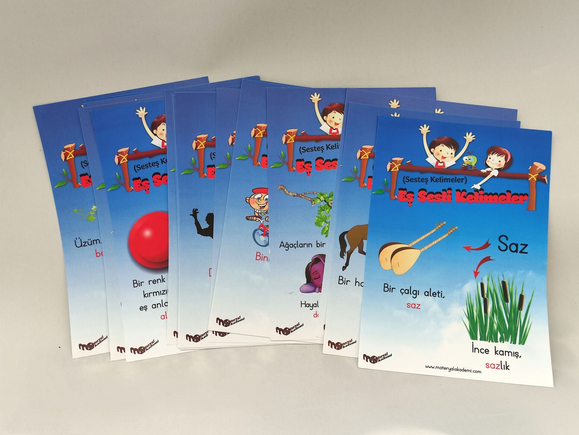 EŞ SESLİ KELİMELER AFİŞ SETİ (A5)