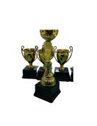 Ödül Kupaları (1 Adet)