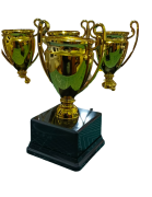 Ödül Kupaları (1 Adet)