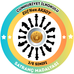 Kişiye Özel Satranç Madalyası 5