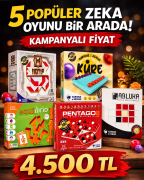 5  Akıl ve Zeka Oyunu Bir Arada